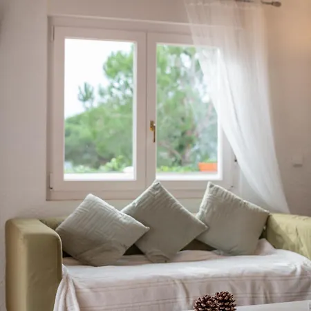 Prázdninový dům 2 Homes, Pool And Beautiful Ocean View!